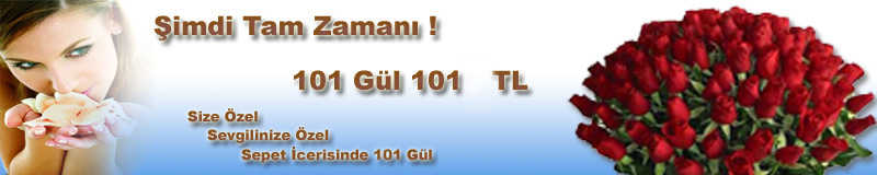 imdi tam zaman 101 gl + Tek Ta Yzk = 200 TL izmir ve tm trkiyeye iek siparii verin